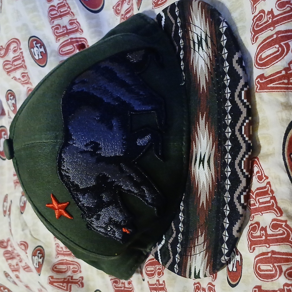 Carbon Elements California Bear men's hat